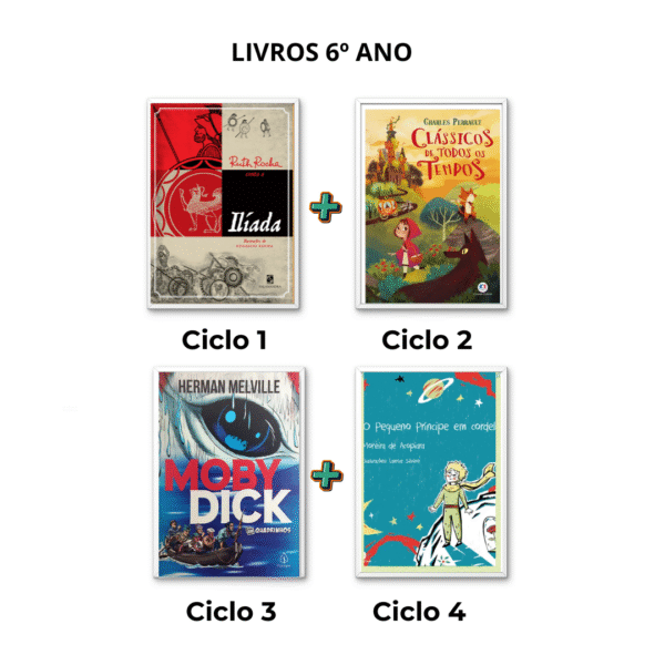 Kit ciclo 1,2,3 e 4 - 6º Ano